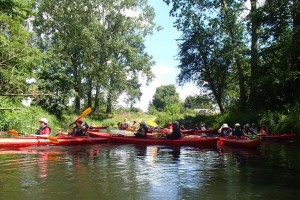 2016-06-30 Orzyc i Narew (10)