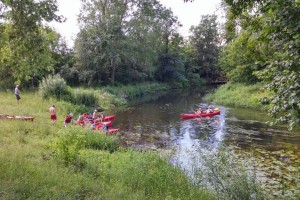 2016-06-30 Orzyc i Narew (15)