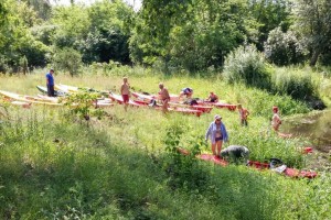 2016-06-30 Orzyc i Narew (17)