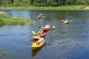 2016-06-30 Orzyc i Narew (18)